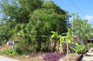 806 Oakwood Ave, Key Largo, FL 33037